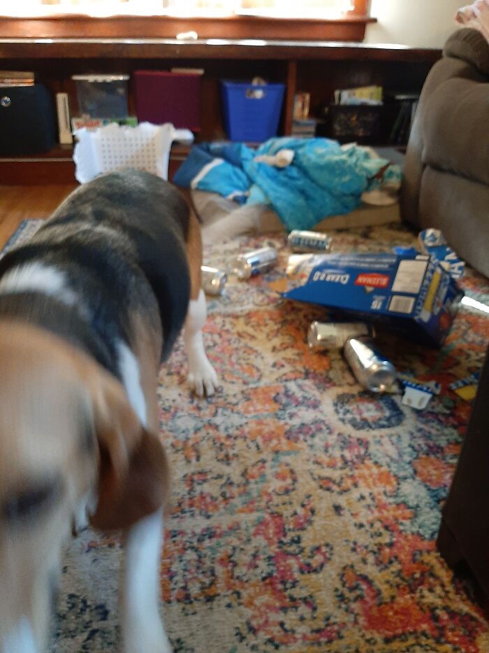 Trying To Sneak A Box Of Beers To His Bed!