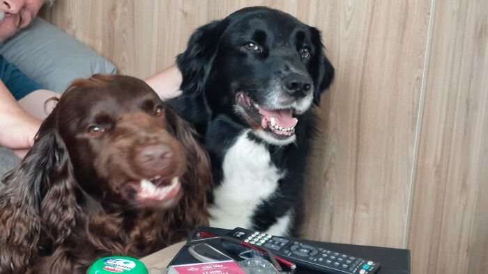 When You're Photogenic But Your Little Brother Ain't