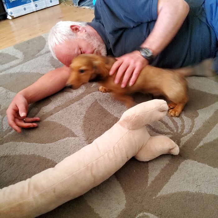 Faster Than A Speeding Bullet! This Is Ludo When He Was Just A Pup. Almost All Are Blurry From This Stage As He Never Stayed Still. He's A Year Older Now And Somewhat Settled Down, But I Still Love This Photo. It Catches His Exuberance!