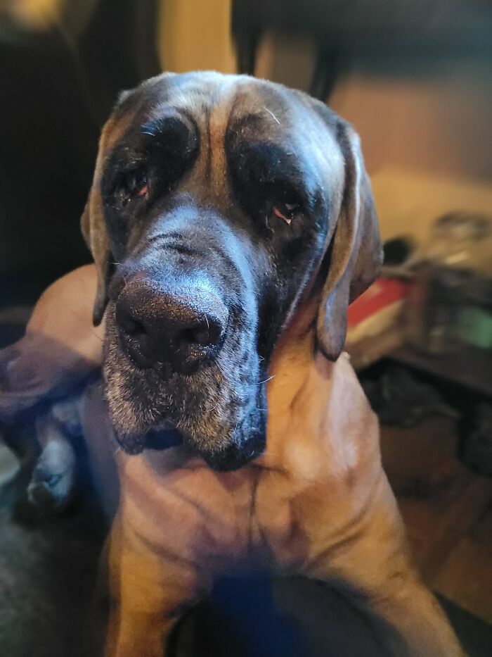 Waiting For Me To Get Off Bored Panda