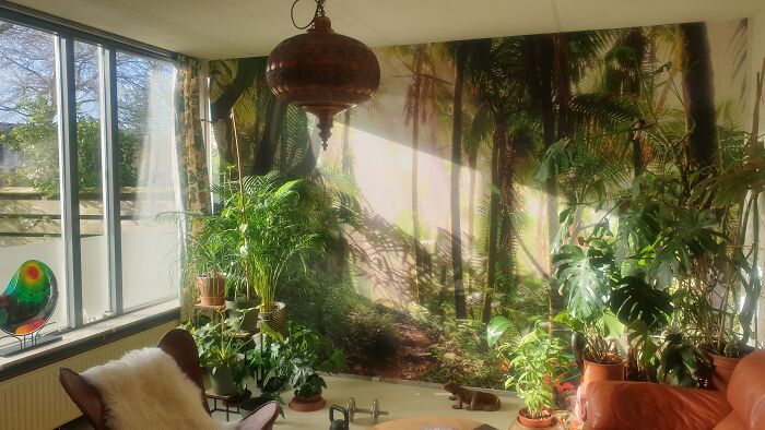 Some Of My Plants In My Indoor Jungle, The Monstera To The Right Is 25+ Years Old