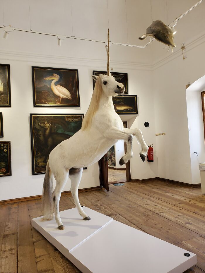 Not Expected ... Well ... Anywhere!