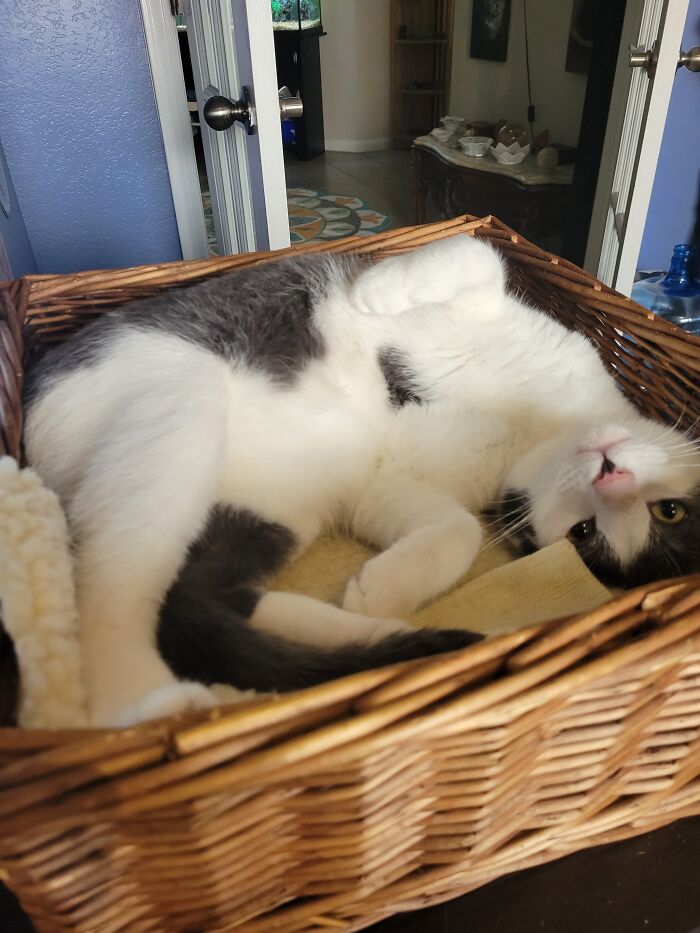 This Is My Sweet Boy Augustus