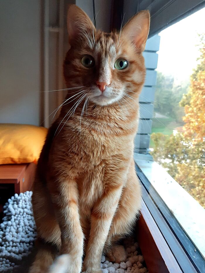 My Sweet Boy, He Looks At Me In Amazement As I Make A Fool Of Myself To Get A Picture Of Him