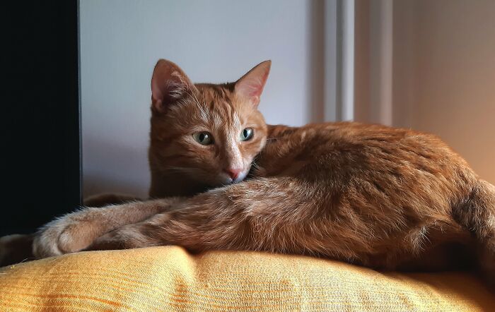 Homeless Little Boy Once, Now The Owner Of My House And My Heart🥰