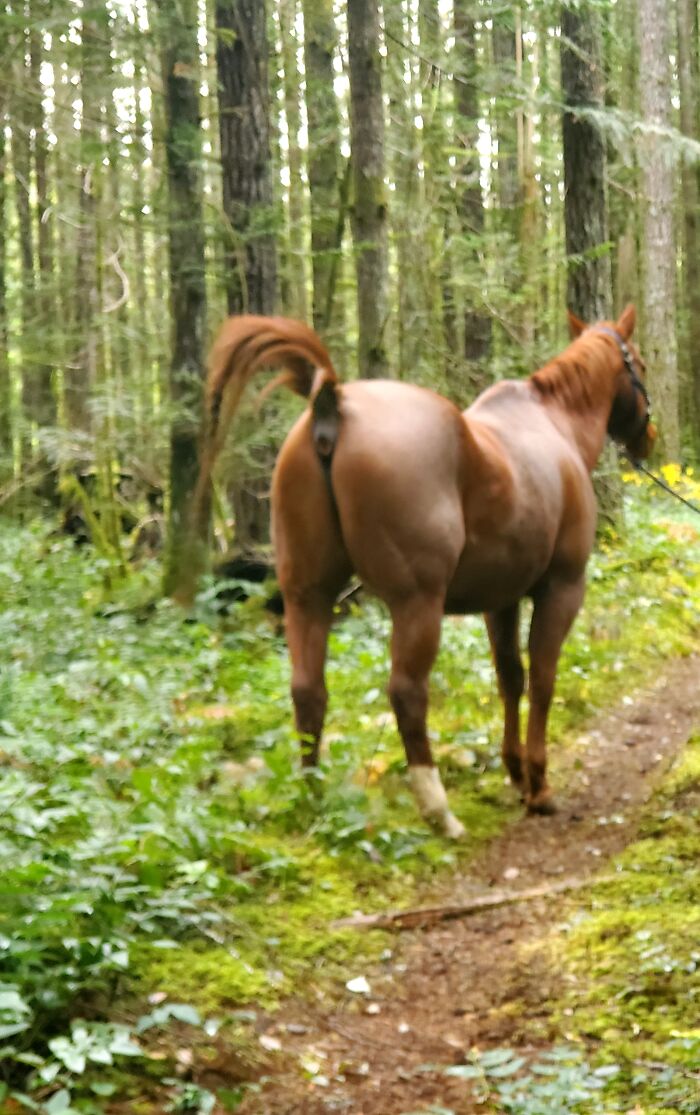 Biggest Fart I Ever Heard