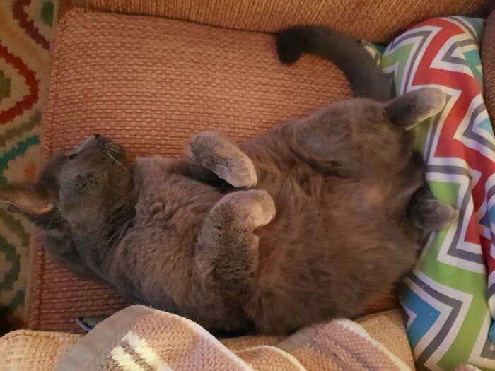 I Know You Wanna Rub My Belly