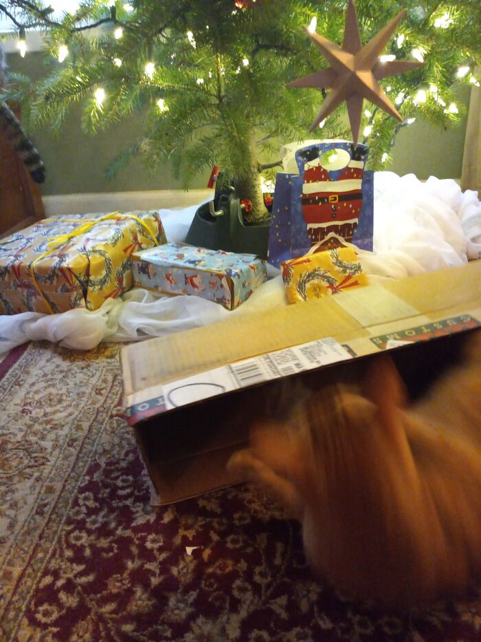 If I Find, I Sitaaah!!!