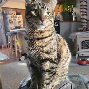 bonnieparker_1 avatar