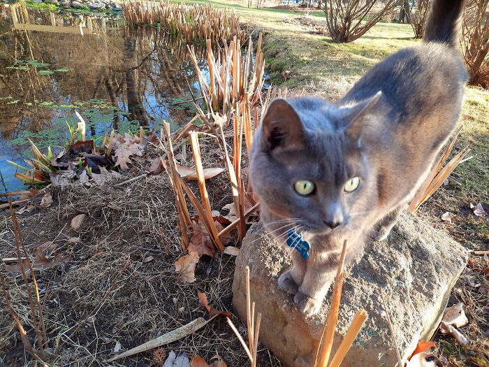 Found Crying Under A Bush In My Sister's Backyard