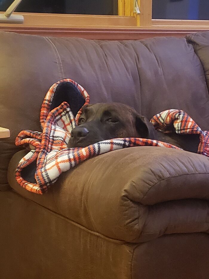 Camo Is Living The Dream