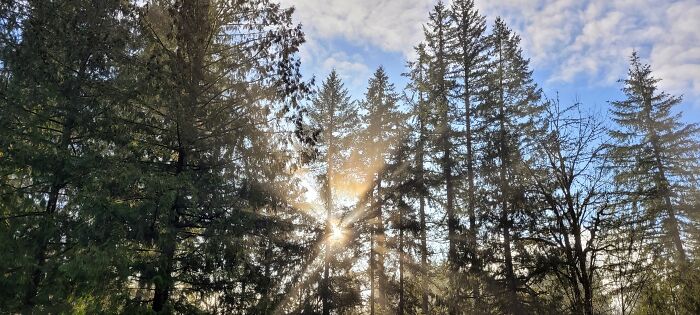 Last Day Of 2022- Oregon USA