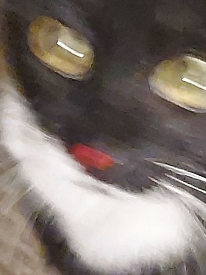 That's What You Get For Sticking Your Nose Where It Doesn't Belong