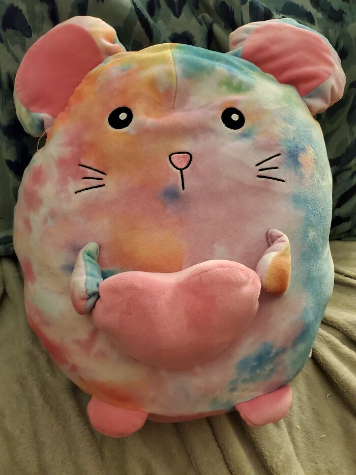 Sherbet The Incredibly Huggable Mouse!