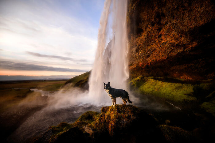 Húgó In Front Of Seljalandsfoss