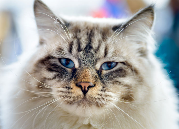 ¿Cuál es el dato más reconfortante que conoces?: Aquí hay 30 respuestas que mejorarán tu día