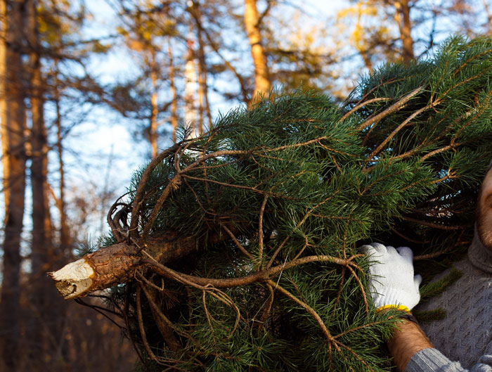 30 Retail Customers Who Thought They Were Clever Enough To Scam The System