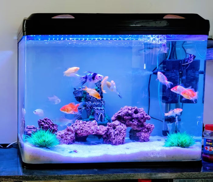 30 Retail Customers Who Thought They Were Clever Enough To Scam The System