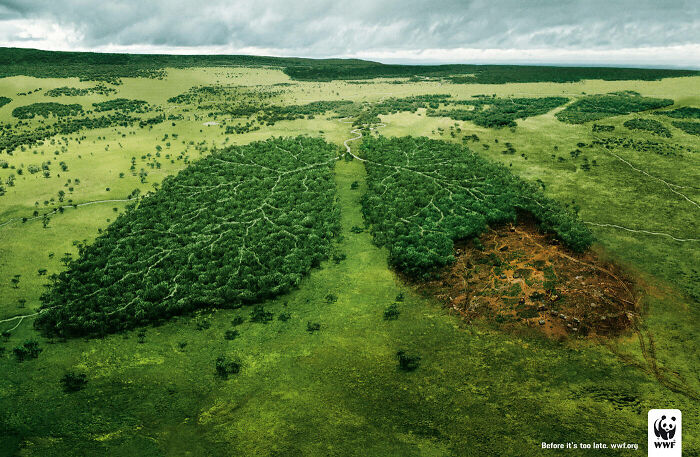 32 Powerful Wwf Ads To Save Animals