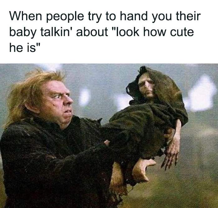 Funny-Childfree-Life-Humor