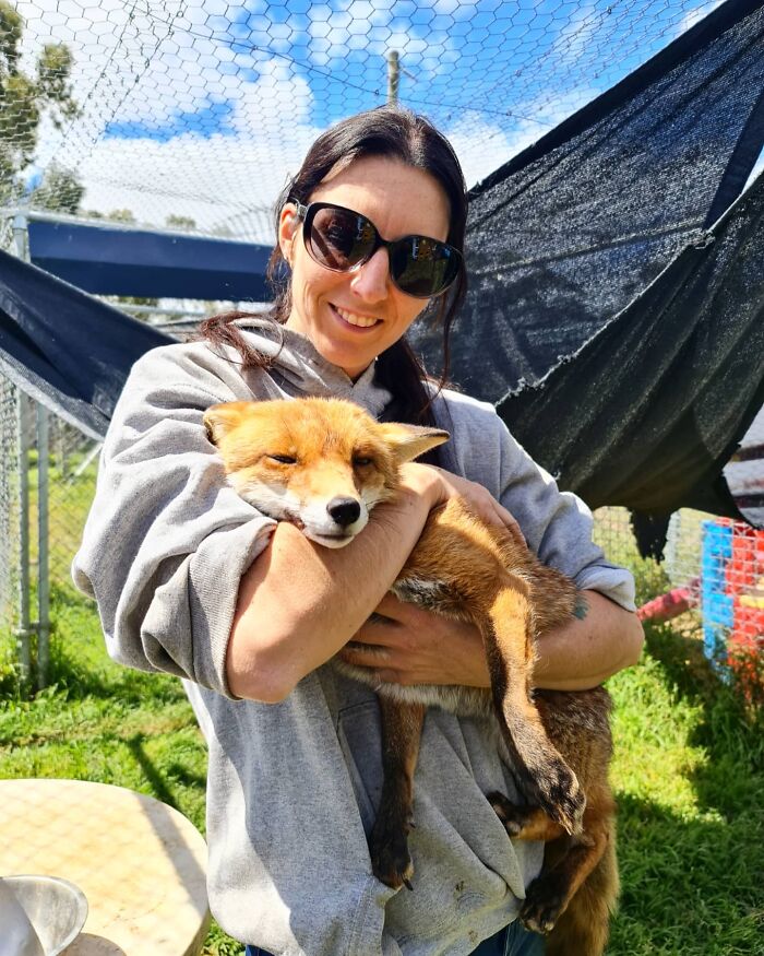 A Family-Run Farm Adopted A Rescue Fox That Has Formed An Inseparable Bond With An 11-Year-Old Girl