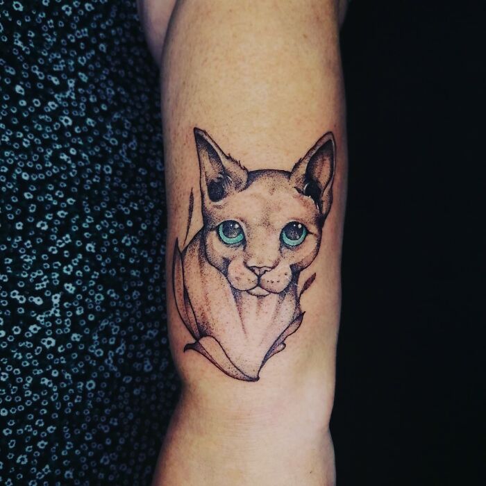 Tattoo of a cat on a person's arm, highlighting pet tattoos with blue eyes and intricate shading.