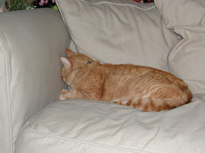 25 Comportamientos y señales claras de que alguien no fue bien educado en su infancia