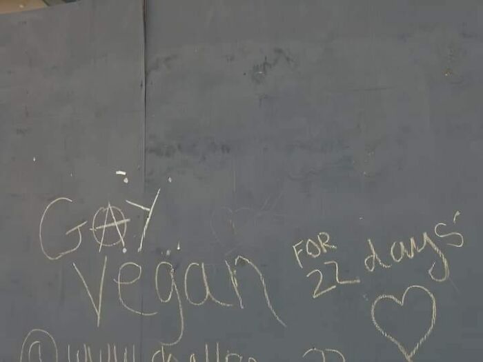 Funny-Questionable-Graffiti