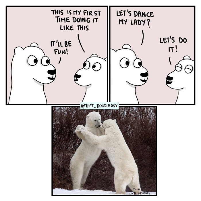 My 40 Wholesome Comics Showing The Backstory Of Popular Animal Pictures