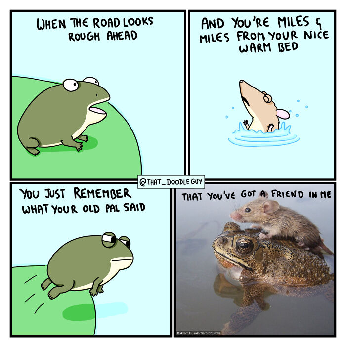 My 40 Wholesome Comics Showing The Backstory Of Popular Animal Pictures