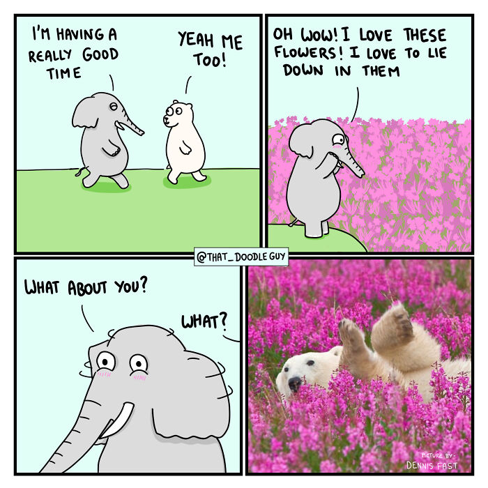 My 40 Wholesome Comics Showing The Backstory Of Popular Animal Pictures