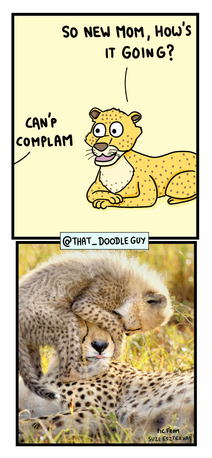 My 40 Wholesome Comics Showing The Backstory Of Popular Animal Pictures