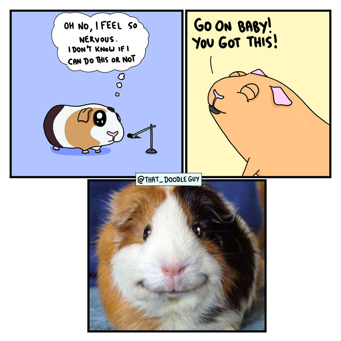My 40 Wholesome Comics Showing The Backstory Of Popular Animal Pictures