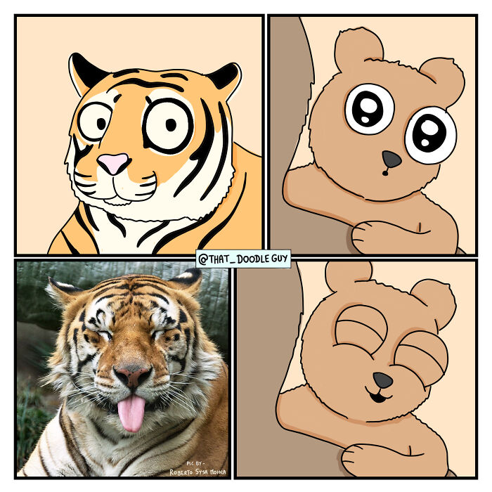 My 40 Wholesome Comics Showing The Backstory Of Popular Animal Pictures
