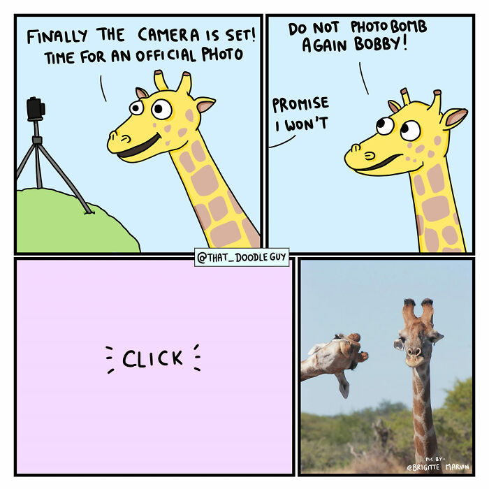 My 40 Wholesome Comics Showing The Backstory Of Popular Animal Pictures