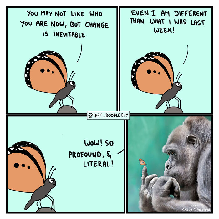 My 40 Wholesome Comics Showing The Backstory Of Popular Animal Pictures