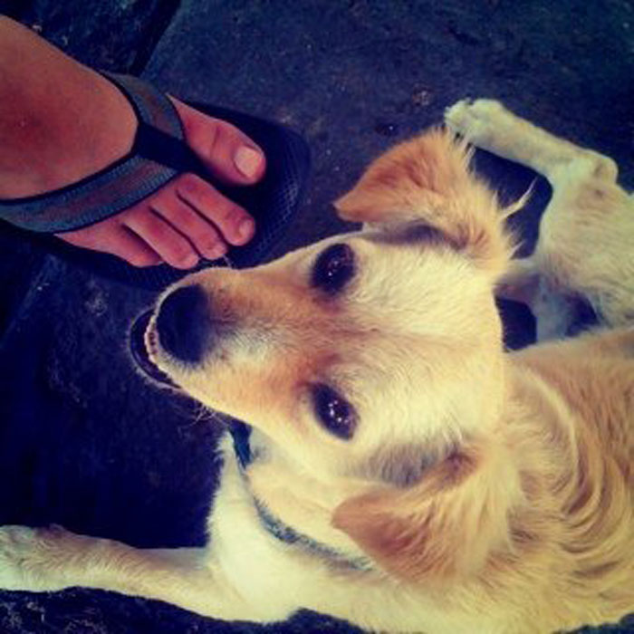 First Instagram Photograph (2010)