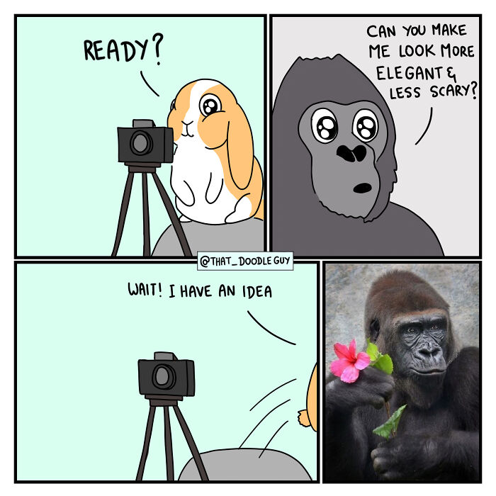 My 40 Wholesome Comics Showing The Backstory Of Popular Animal Pictures