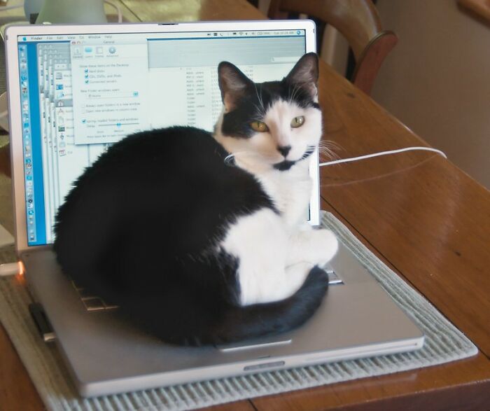 People In This Thread All Earn Above $100k A Year And Share What They Do For A Living (30 Answers)