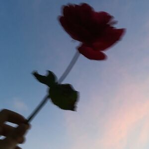 callmesrinidhi avatar