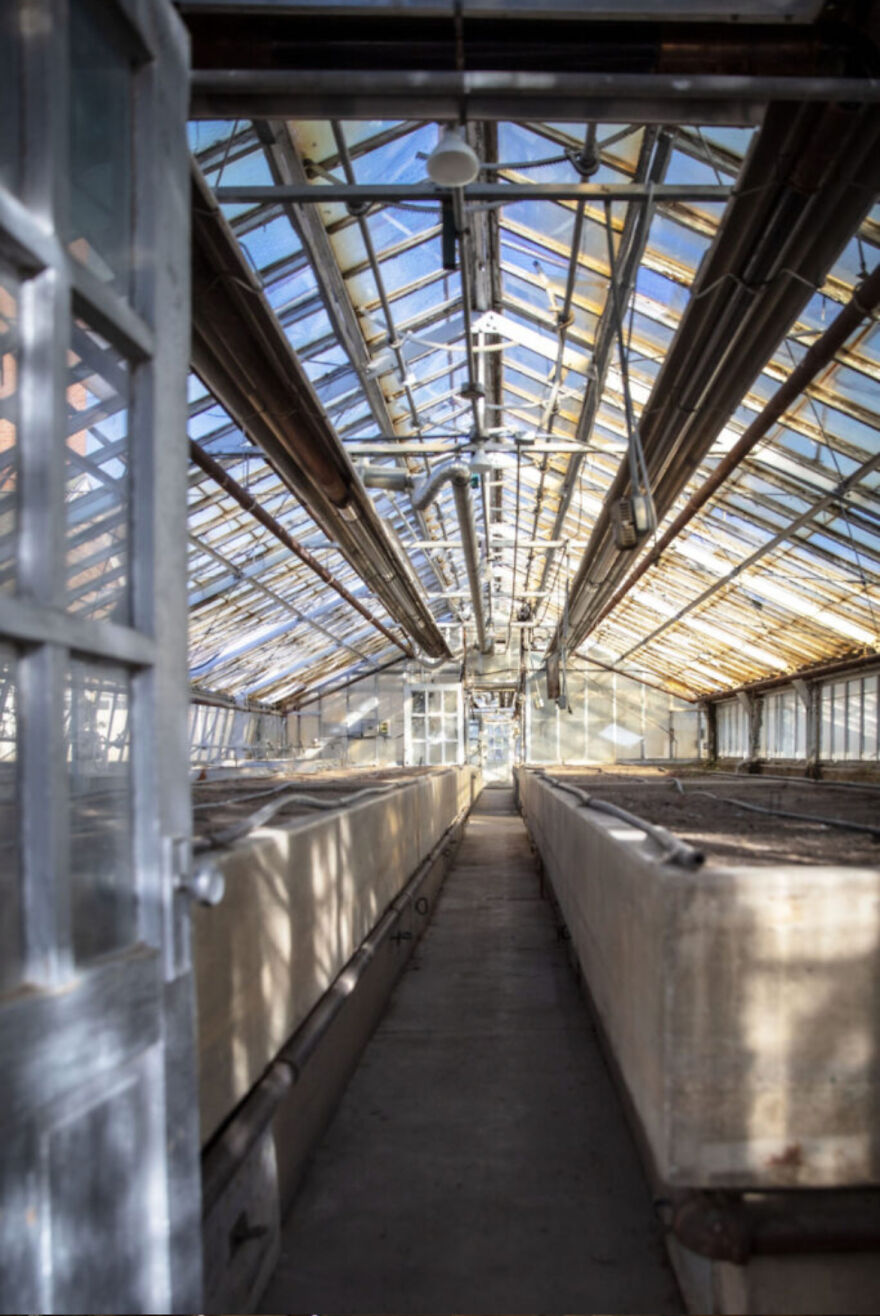 Reckless Abandon: The American West