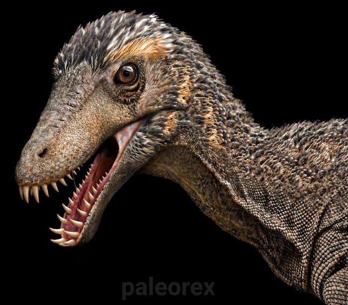 Detailed illustration of a long-extinct animal showing sharp teeth and textured skin against a black background.