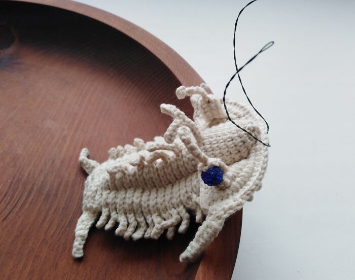 My Trilobite Fossil (4 Pics) My Trilobite Fossil (4 Pics)