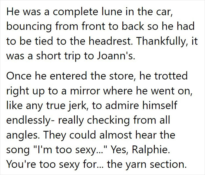 Animal Shelter Can't Say Much Good About This French Bulldog So They Make Up A Great Post Exposing His Shortcomings In Detail