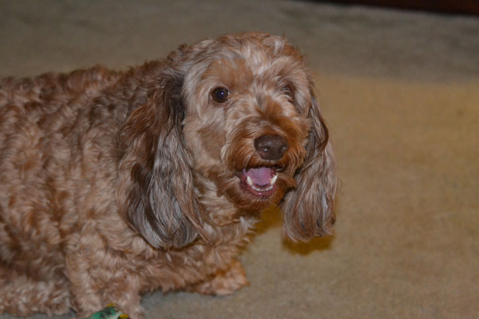 25 Comportamientos y señales claras de que alguien no fue bien educado en su infancia