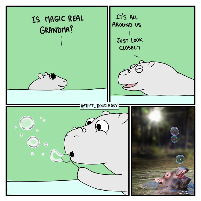 My 40 Wholesome Comics Showing The Backstory Of Popular Animal Pictures