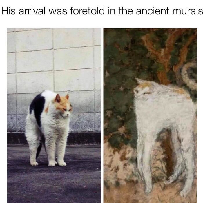 Funny-Cat-Jokes-Memes-Meow-Incorporated