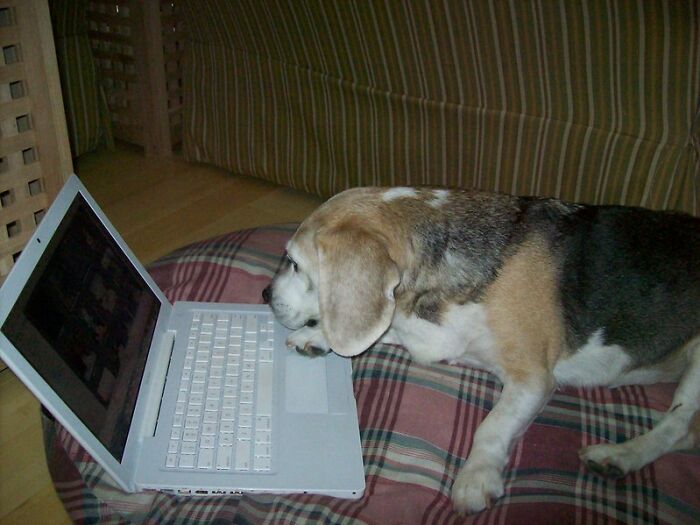 People In This Thread All Earn Above $100k A Year And Share What They Do For A Living (30 Answers)