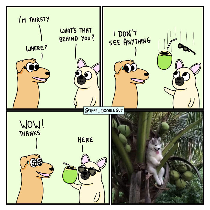 My 40 Wholesome Comics Showing The Backstory Of Popular Animal Pictures