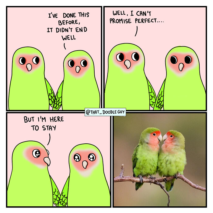 My 40 Wholesome Comics Showing The Backstory Of Popular Animal Pictures